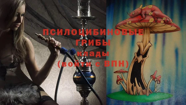 каннабис Аркадак