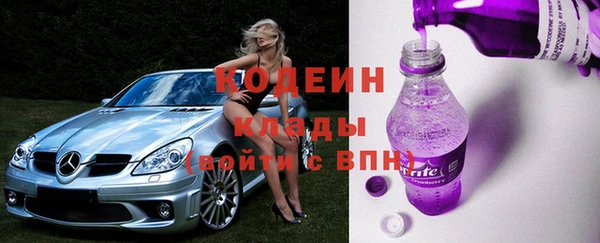 эйфоретик Арсеньев