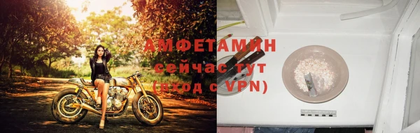PSILOCYBIN Армянск